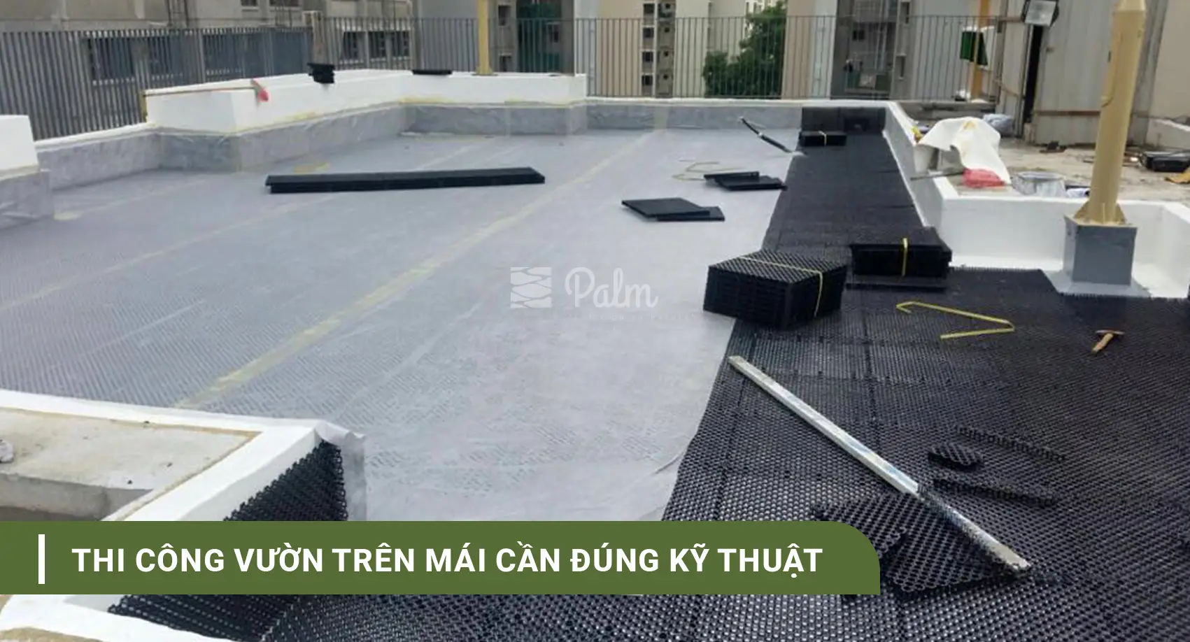 Vỉ thoát nước là gì? Phân loại và công dụng của Vỉ thoát nước